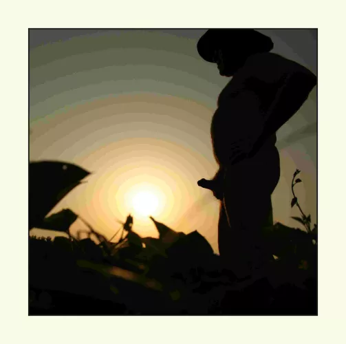 M60 - enjoying the sun set