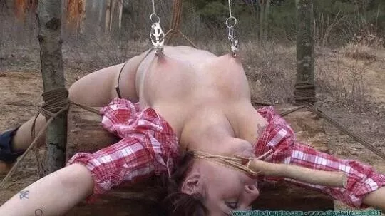 playing in the back yard