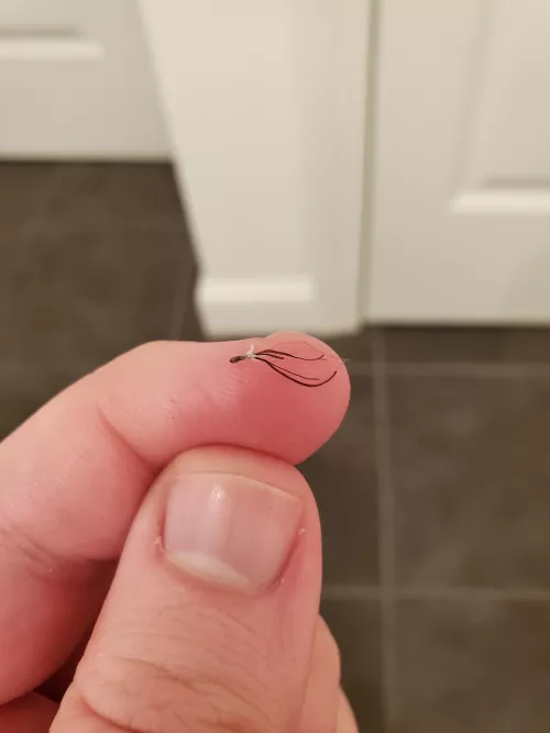 Pulled a little squid out of my beard