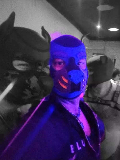 Pups at the club