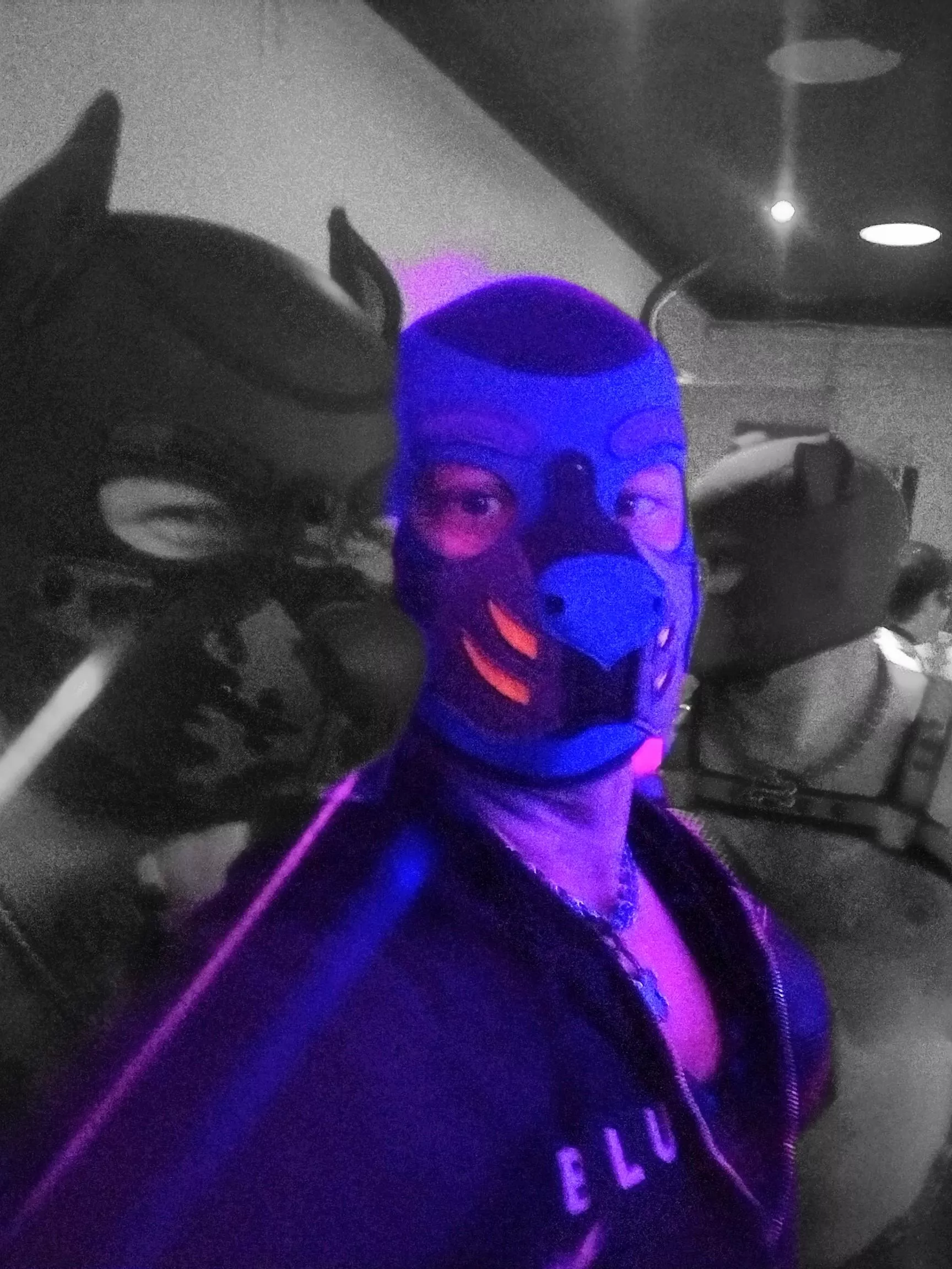 Pups at the club