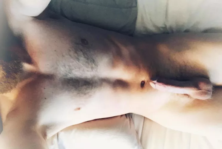 Rise and shine ⛅️ 