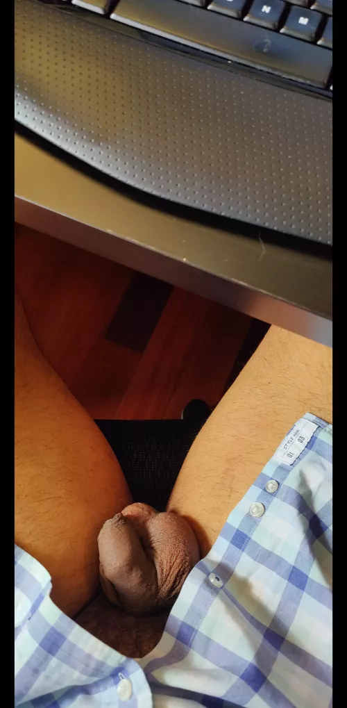 The afternoon sun is one of the benefits of working from home