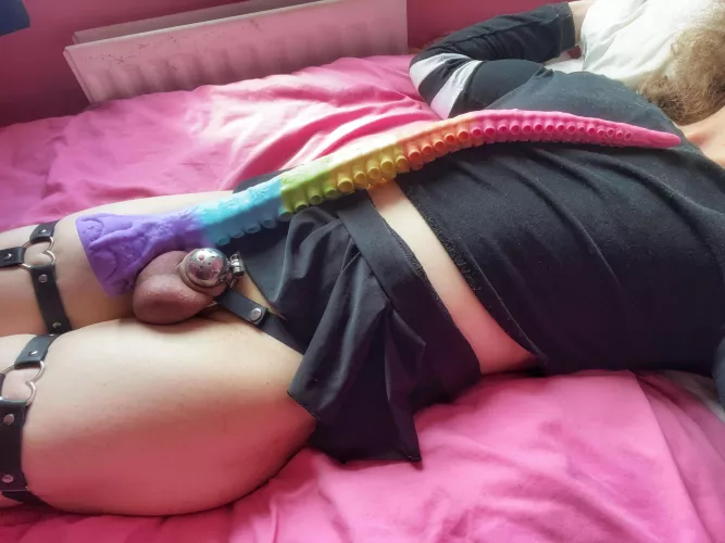 This nub cage looks even smaller next to a two foot-long tentacle! 👀💗