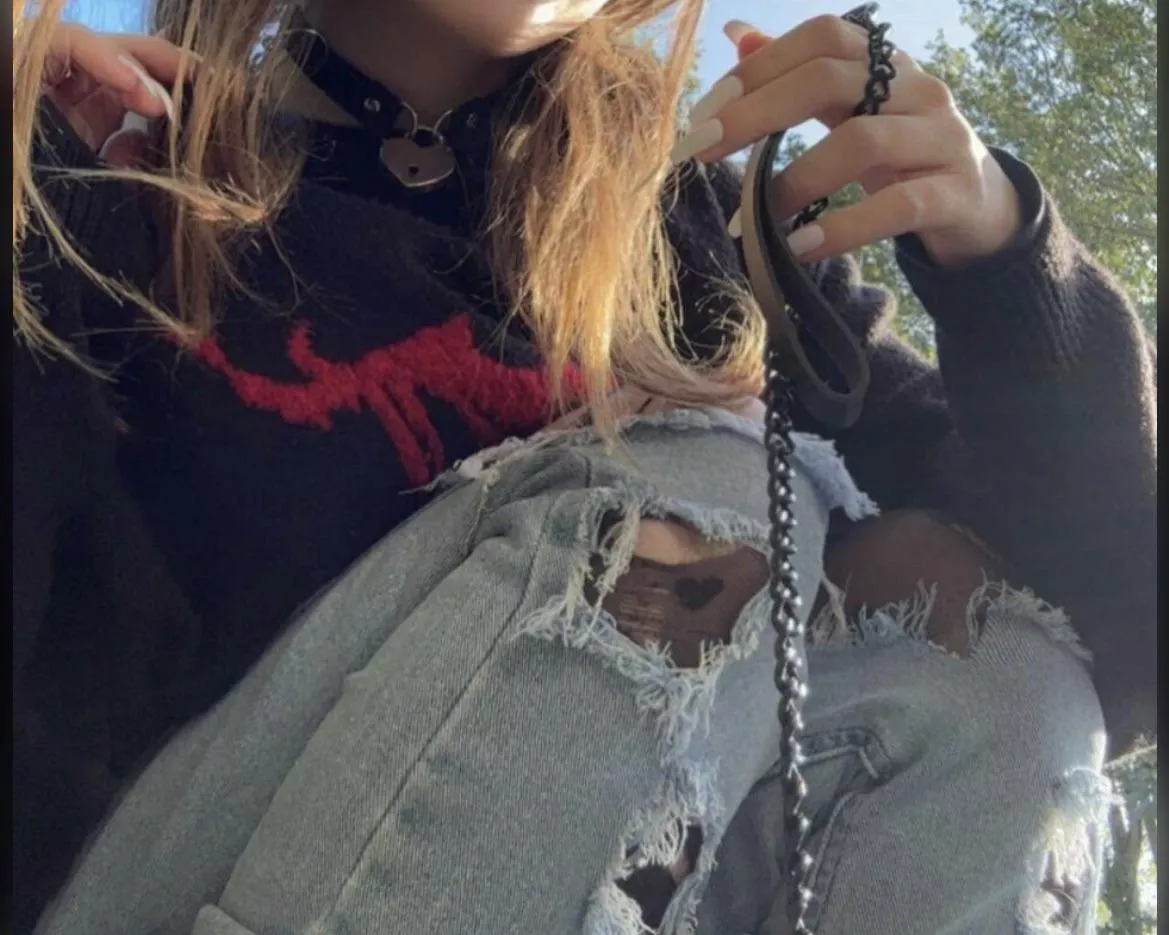 who wants to go for walkies 🐶