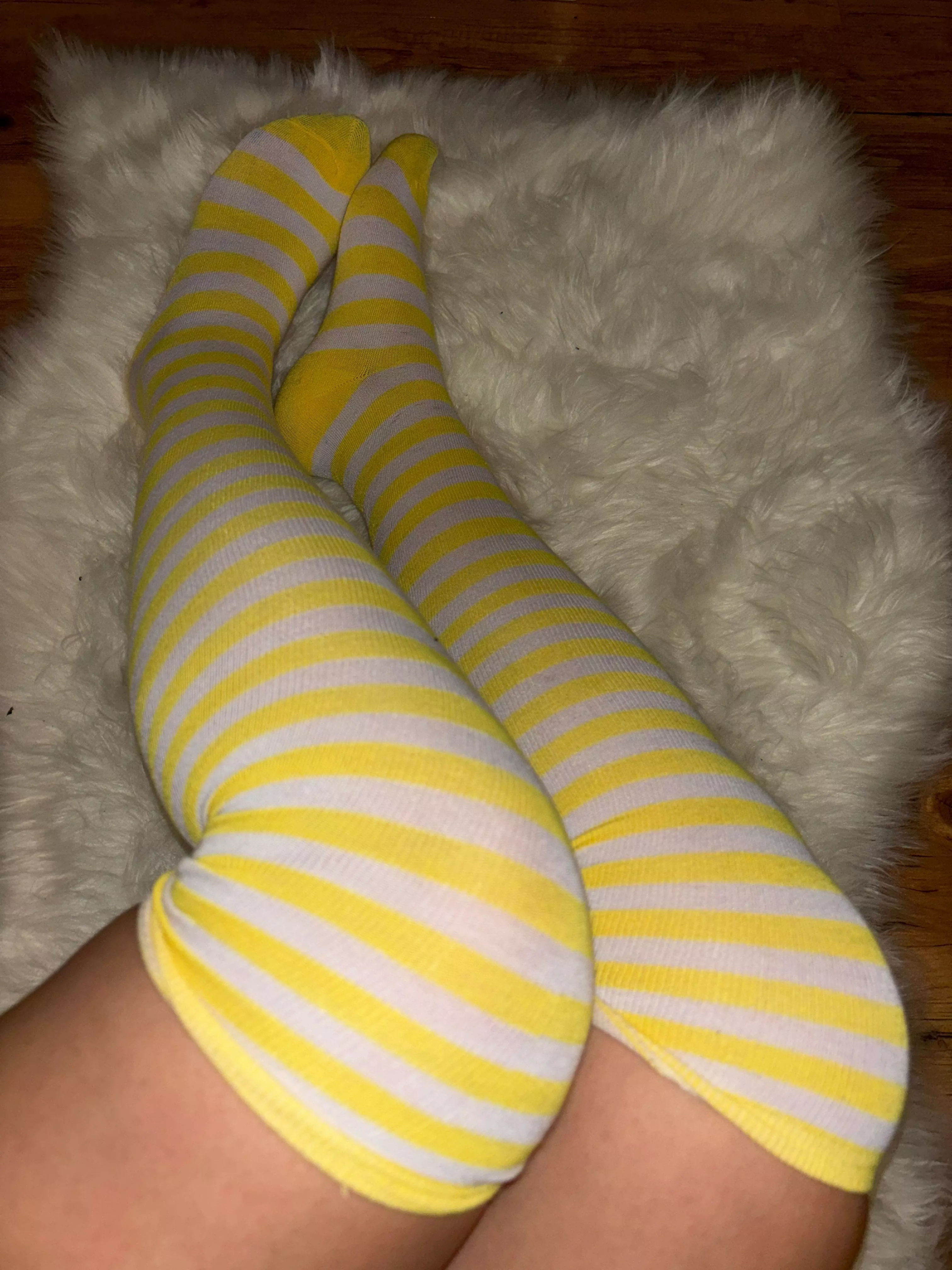 Yellow socks for you [F]