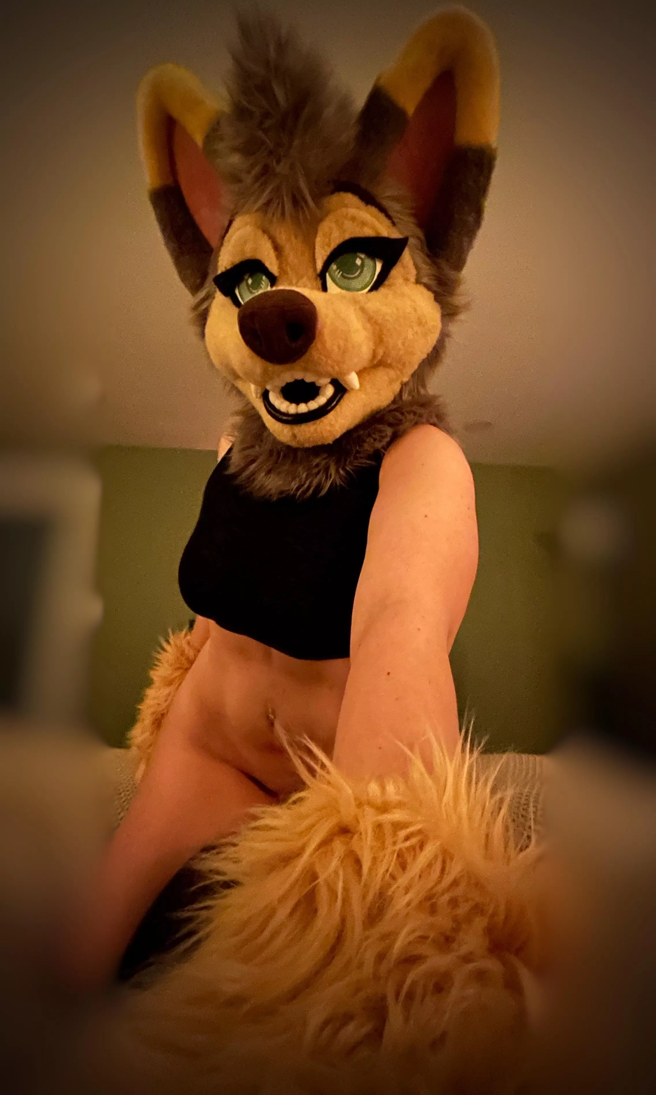 You want to act like a mutt? Punishment is the only answer.