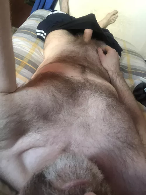 [48] English hairy silver fox 