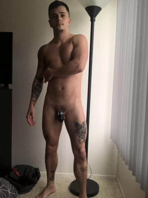 Another lockup begins....