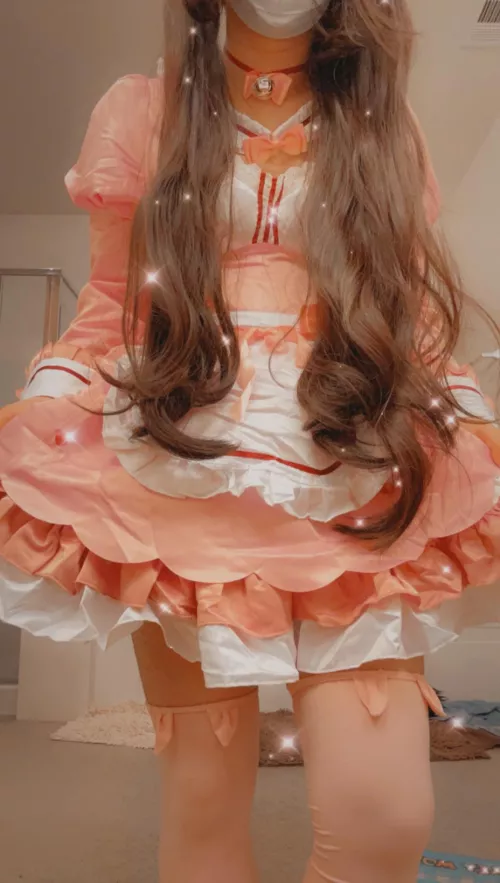 catboy maid at your service! :3