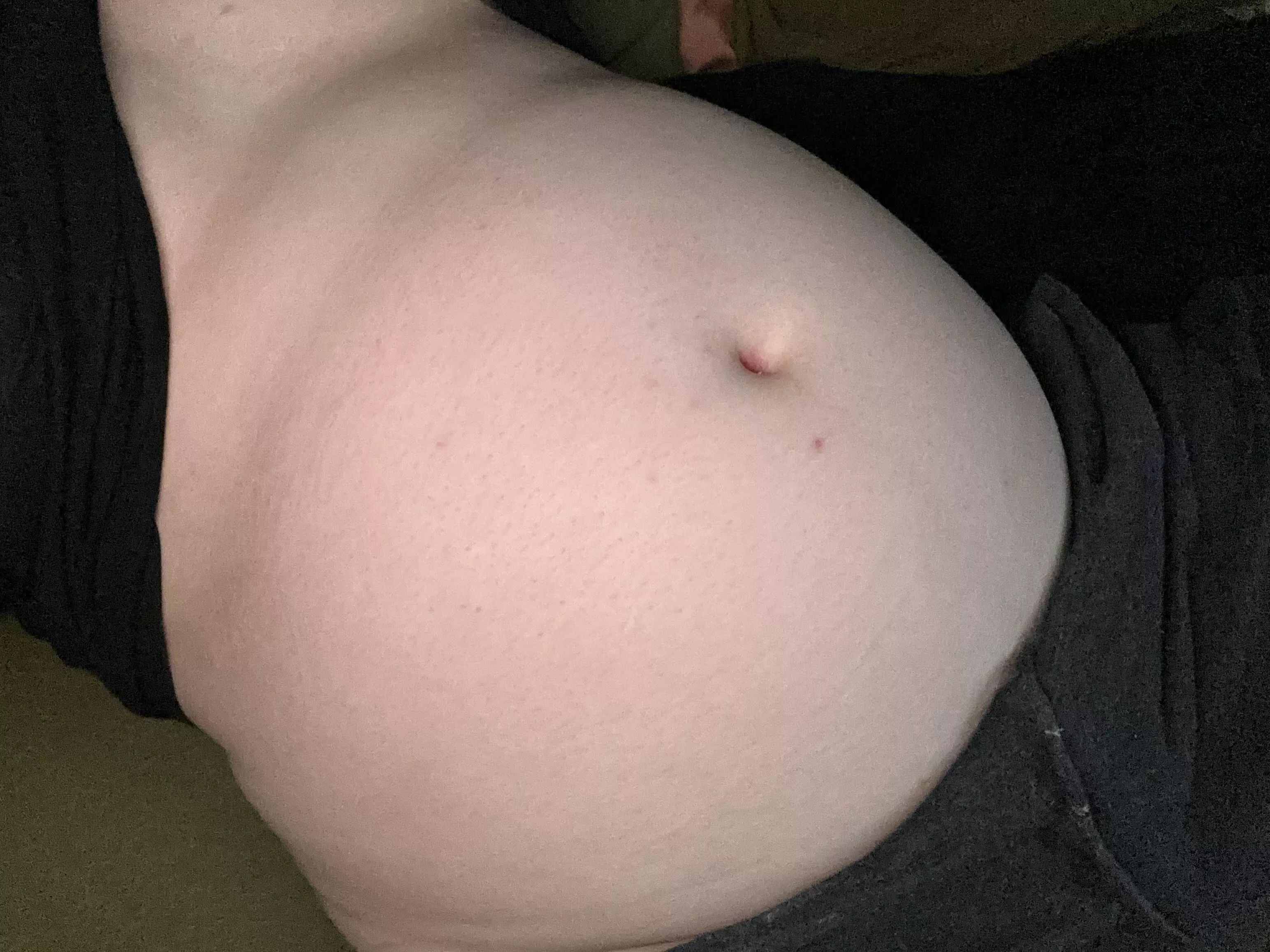 Fat pig needs teasing 🐽