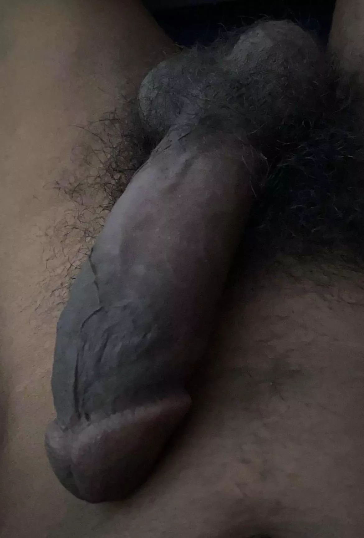 Good morning , any ladies wanna keep this black cock company today?