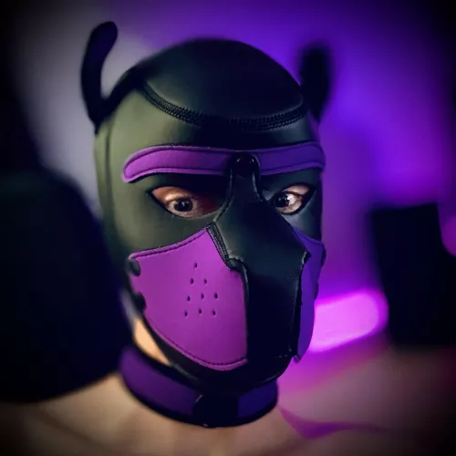 Have a great night 💜 Snuggles 🐶 and sleep tight 💤