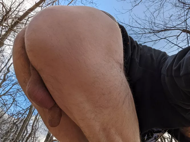 Hiking in the cold wind again today