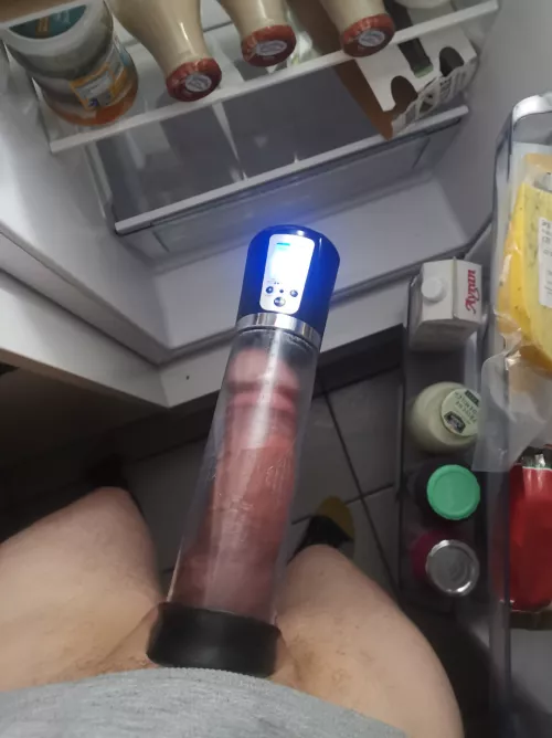 I am hungry, what can i eat