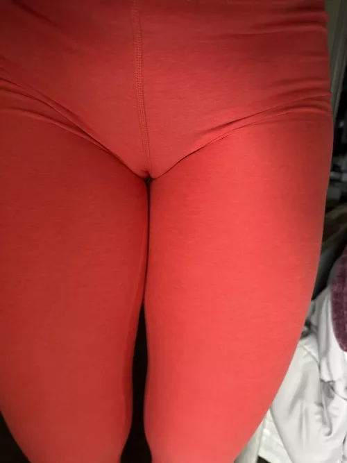 I have somewhere for that boner of yours