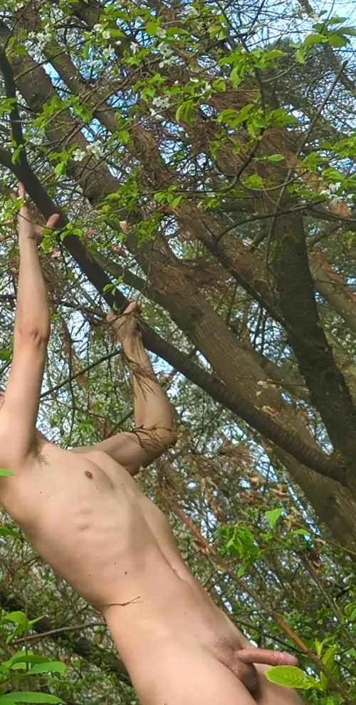 It's finally spring! Time to hug some trees