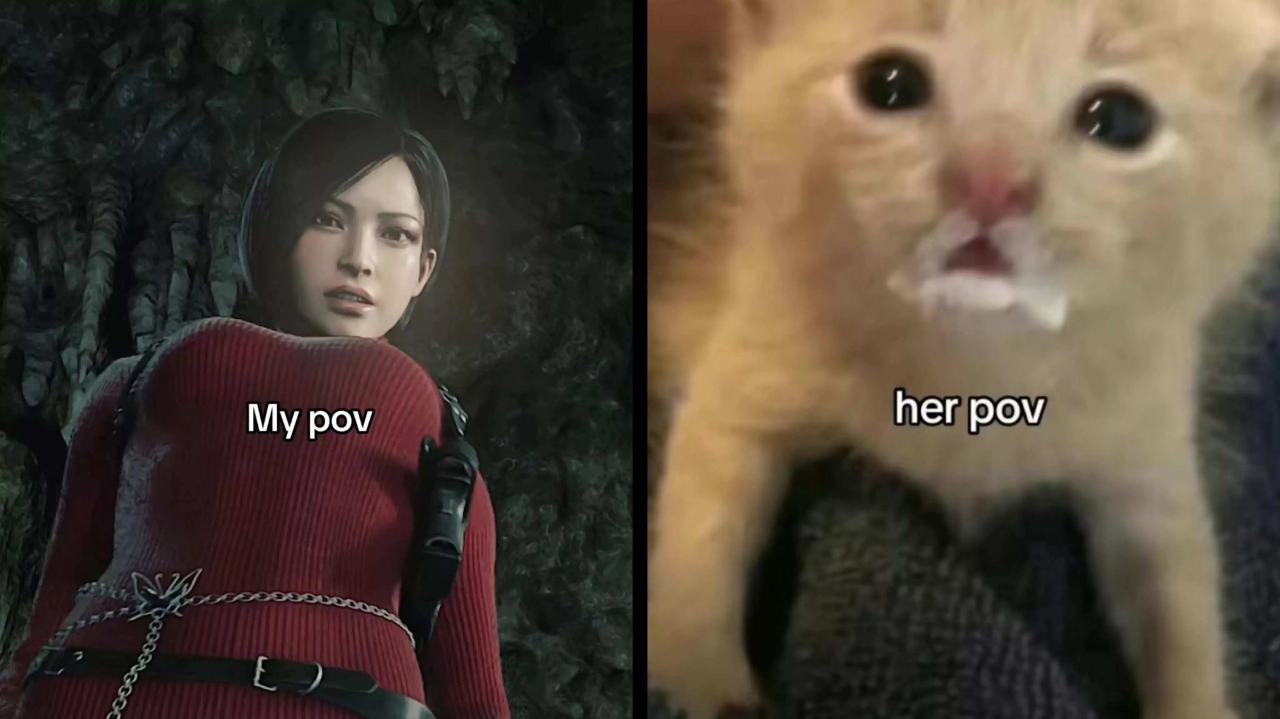 Just How It Should Be 🥴