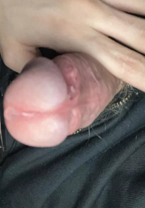 Little bit of precum