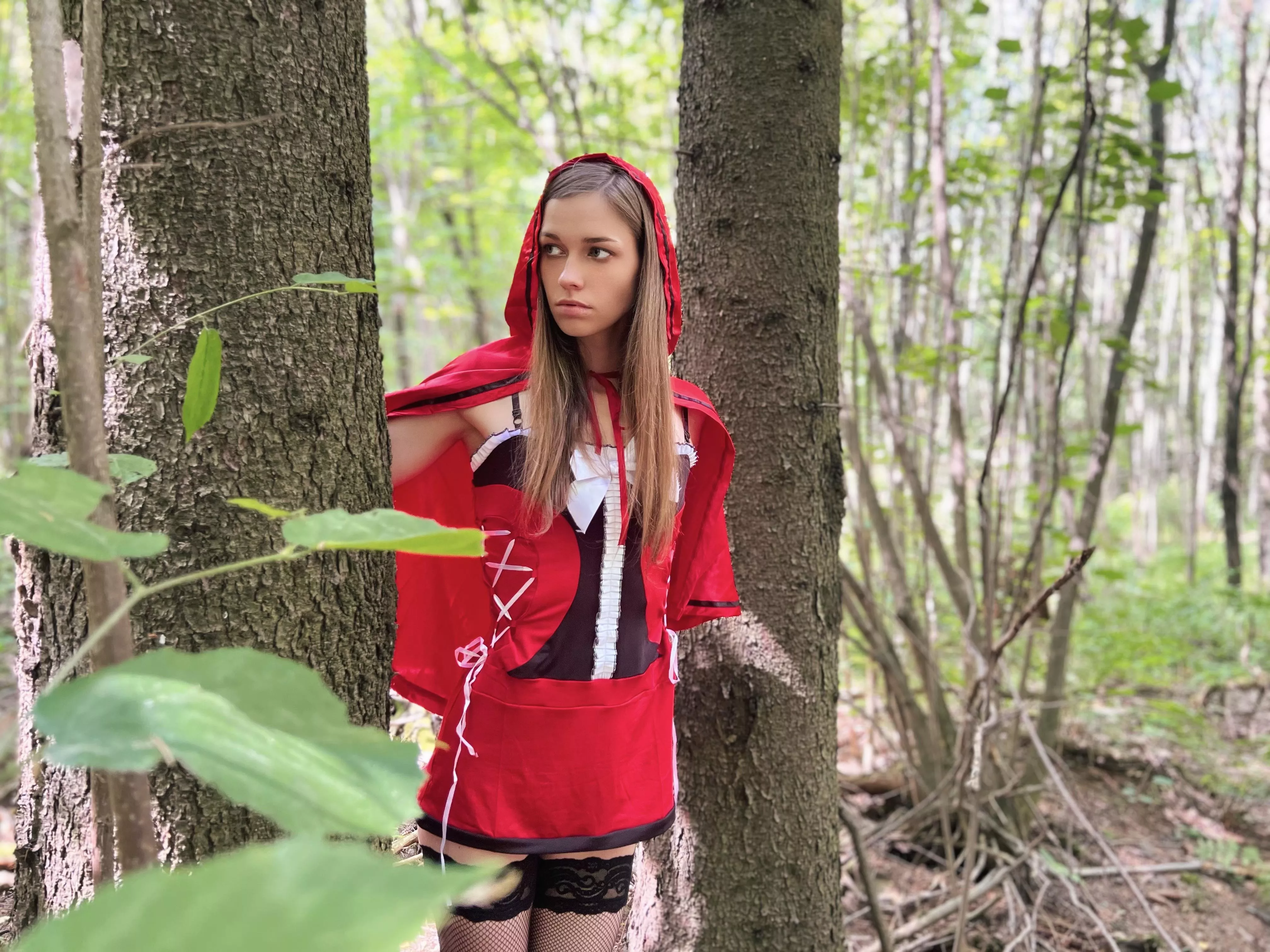 Little Red Riding Hood is looking for her wolf