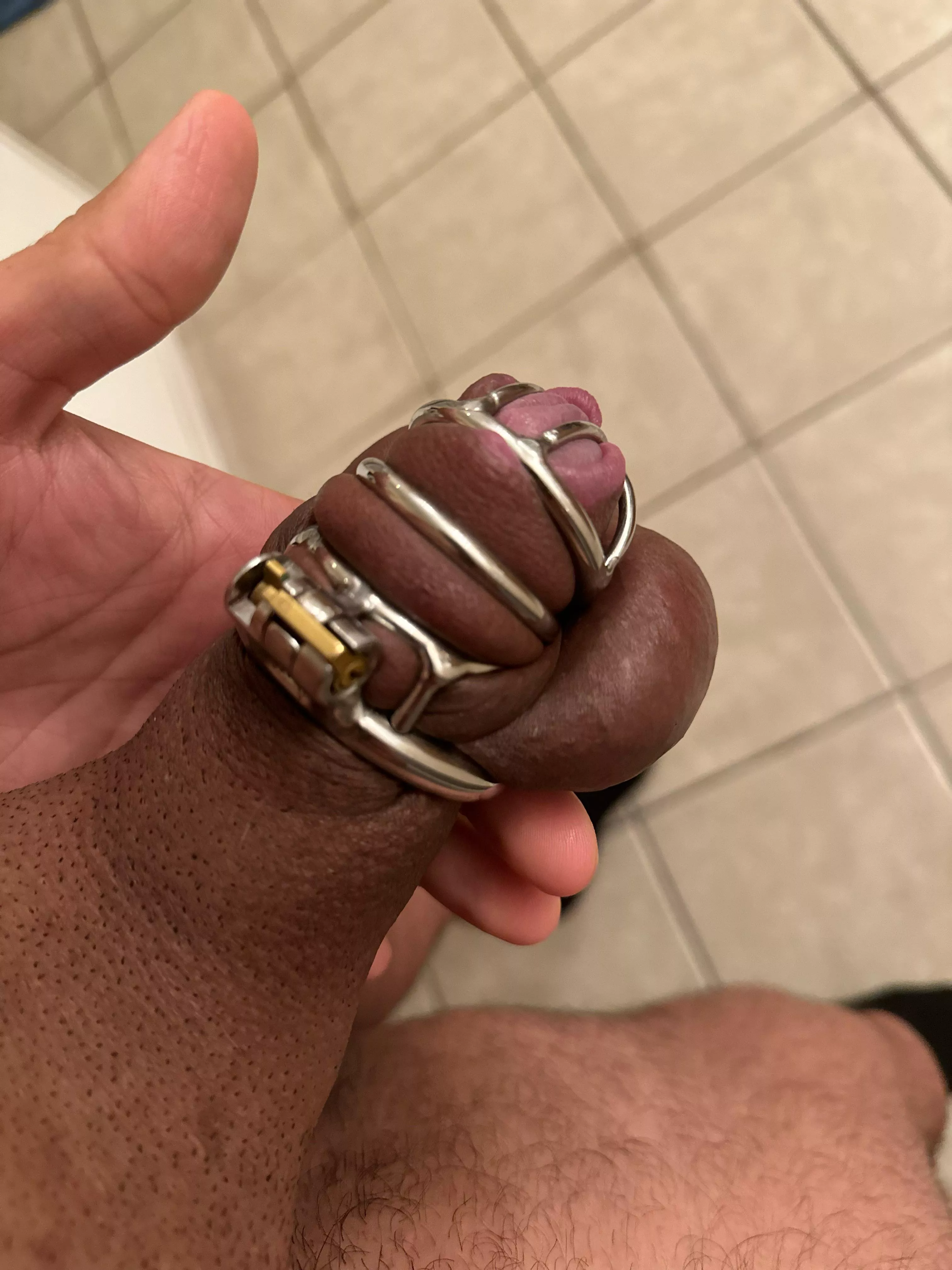 Morning wood is literally the hardest part of chastity