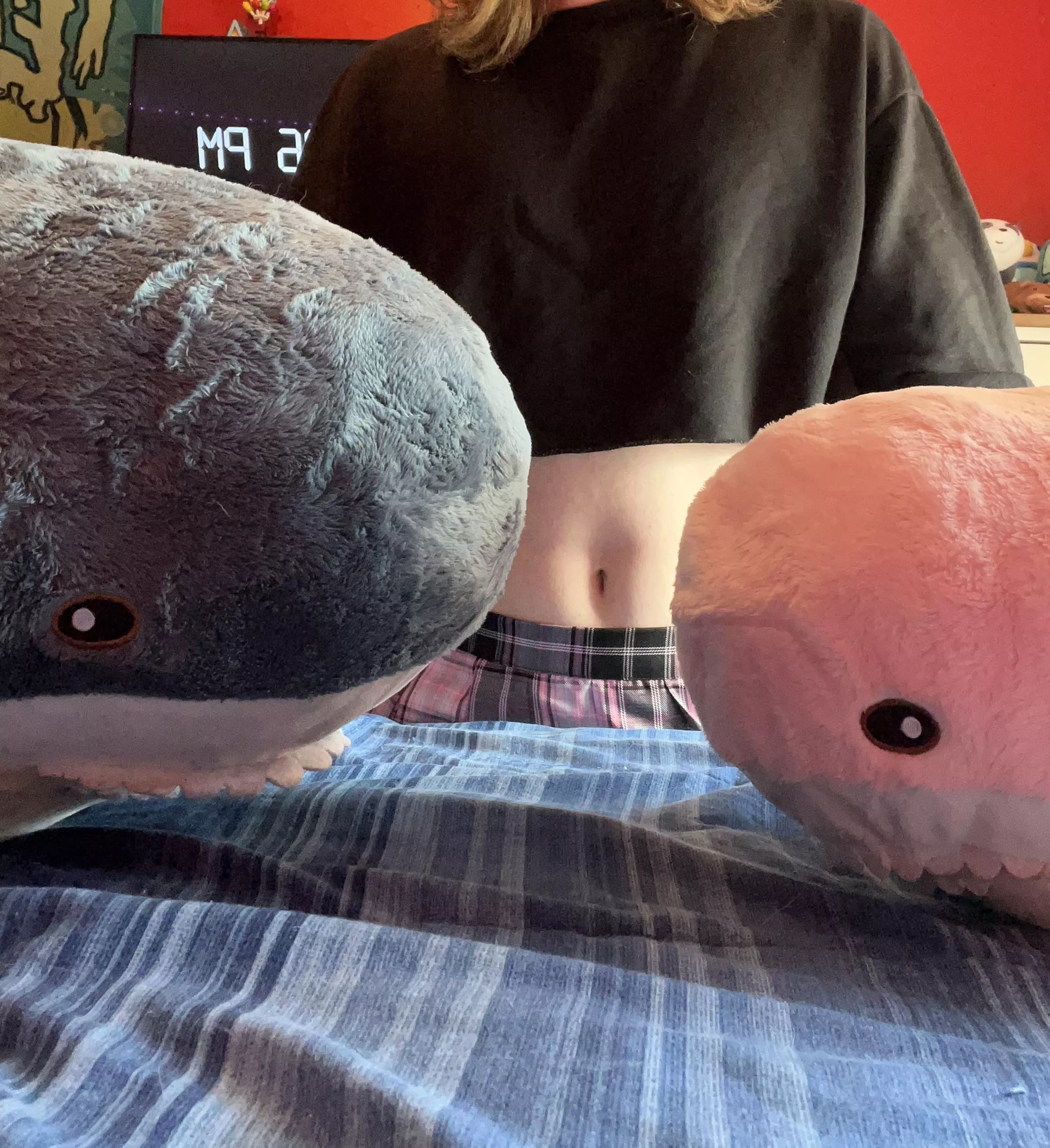 My Blahajs got married :3