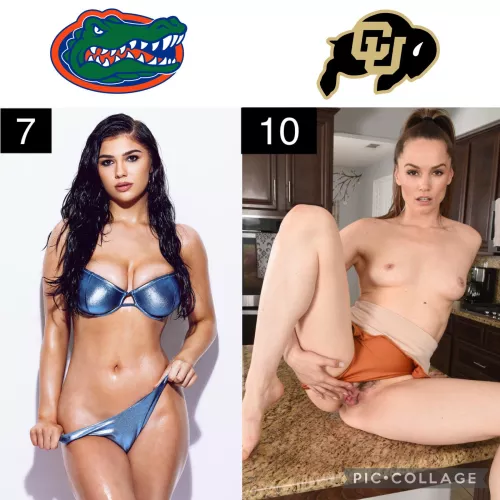 My Favorite Pornstars March Madness: Rd of 64: [Aria Taylor] vs [Tori Black]