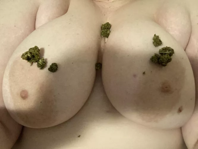 oops i spilled my nugs. wanna help me clean it? (f)