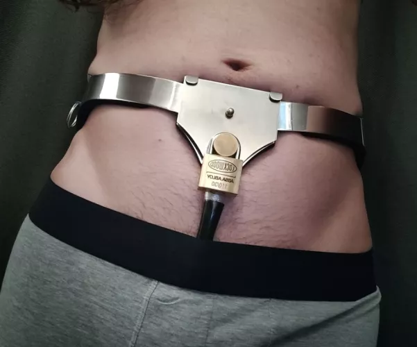 Rarely see full belt-style chastity here, lets change that up! Custom size Fancy Steel belt.