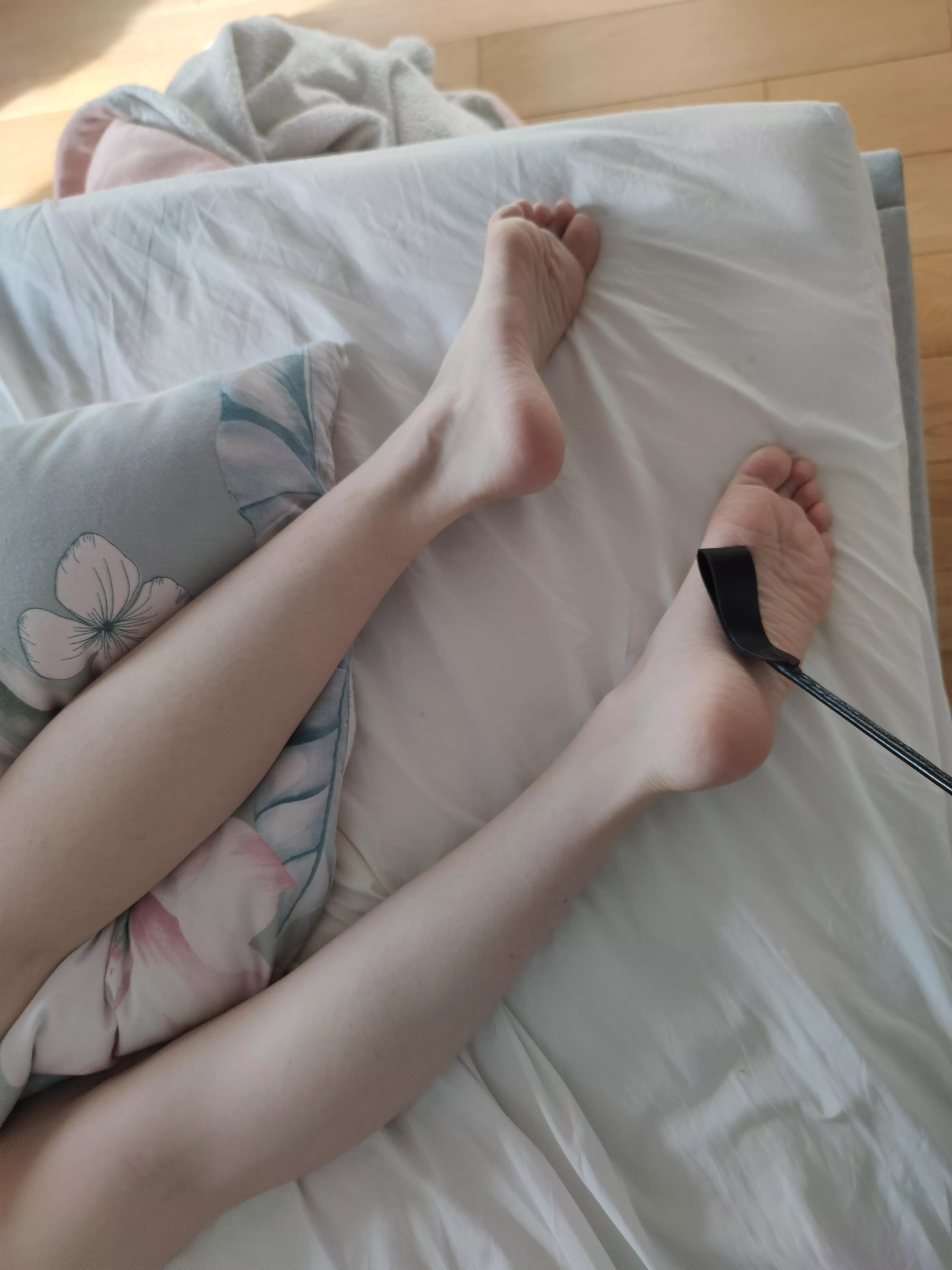 start of the session