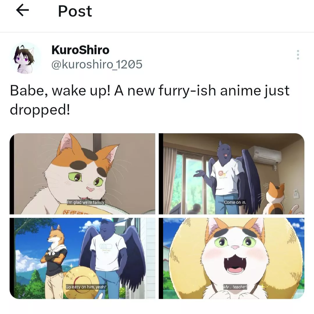 That cat is so freaking adorable btw.