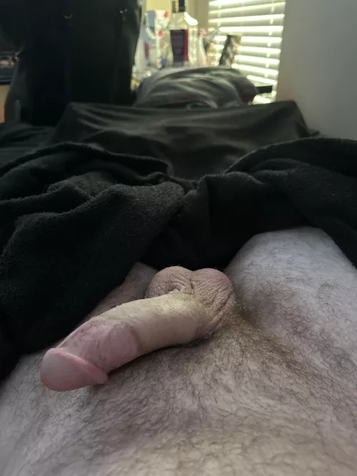 What do yall think of my soft cock?