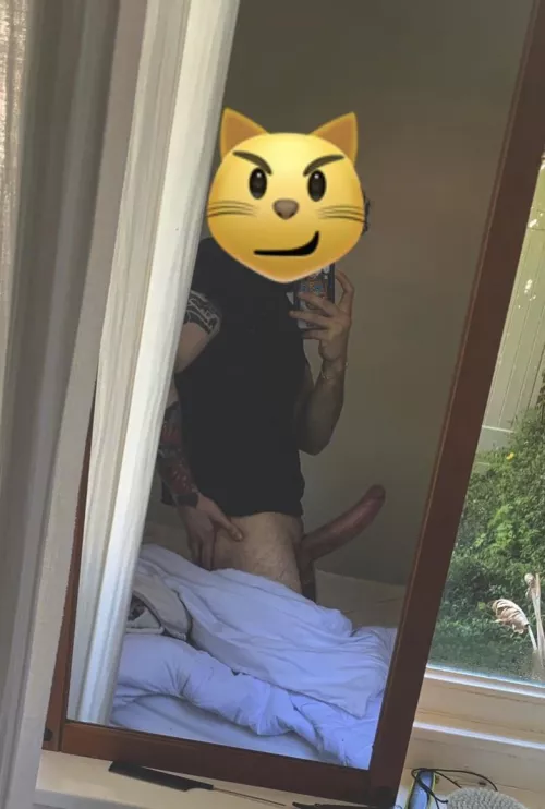 What do you think of my dick ?