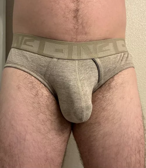 What do you think of these CIN2 briefs? 