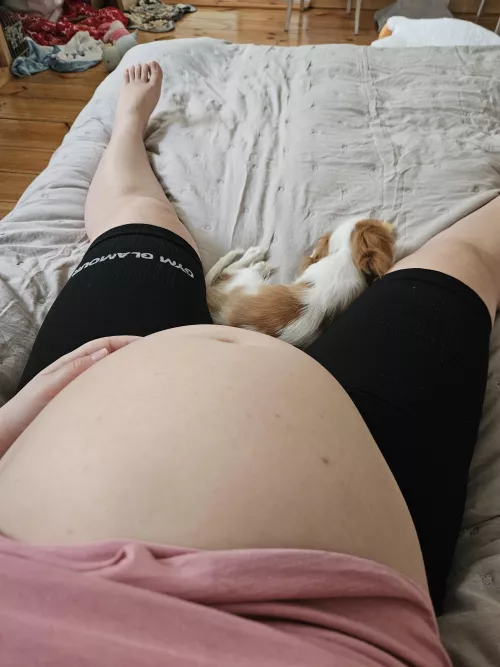 What month of pregnancy do you think it is?