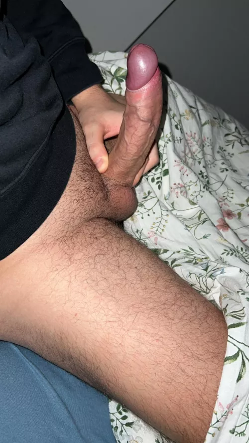 You ever think how polish cock looks like?