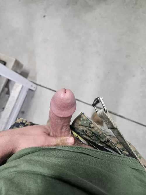 [21] bored and hard at work