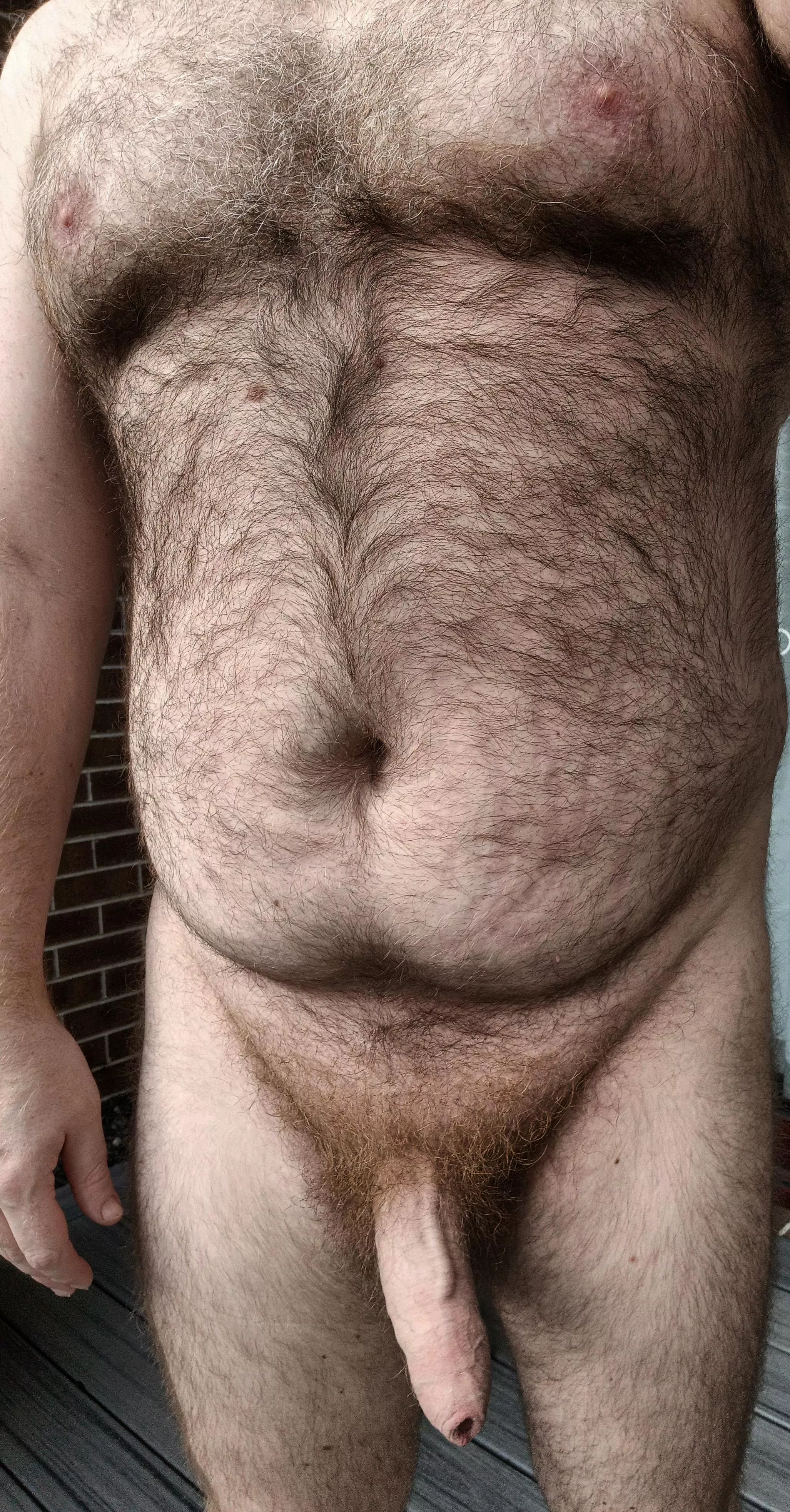 (38) Thick Aussie ready to play 