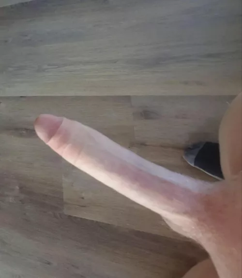 Aussie water must have something in it. How else can my cock be this massive at just 18yrs old.