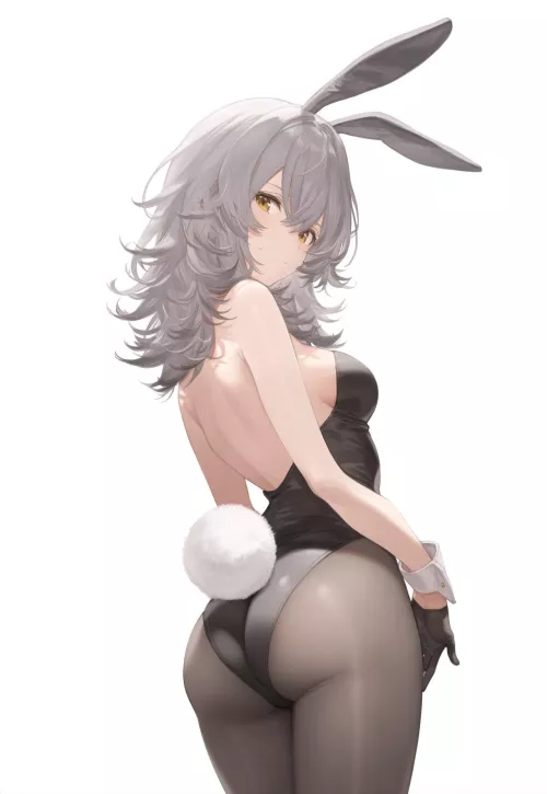 Bunny Stelle [Honkai Star Rail]