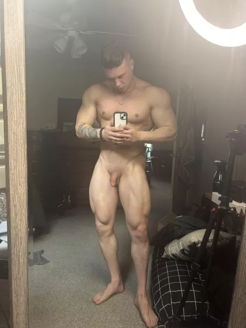 Come to denver and have fun with a young bull