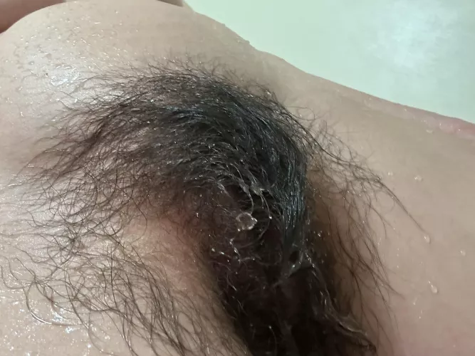 Full and wet bush 