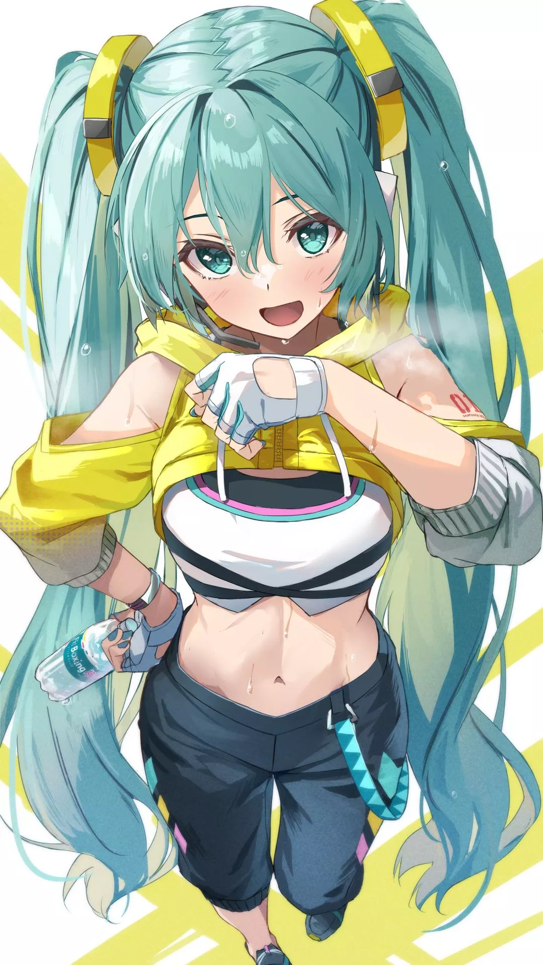 Hatsune Miku [Vocaloid]