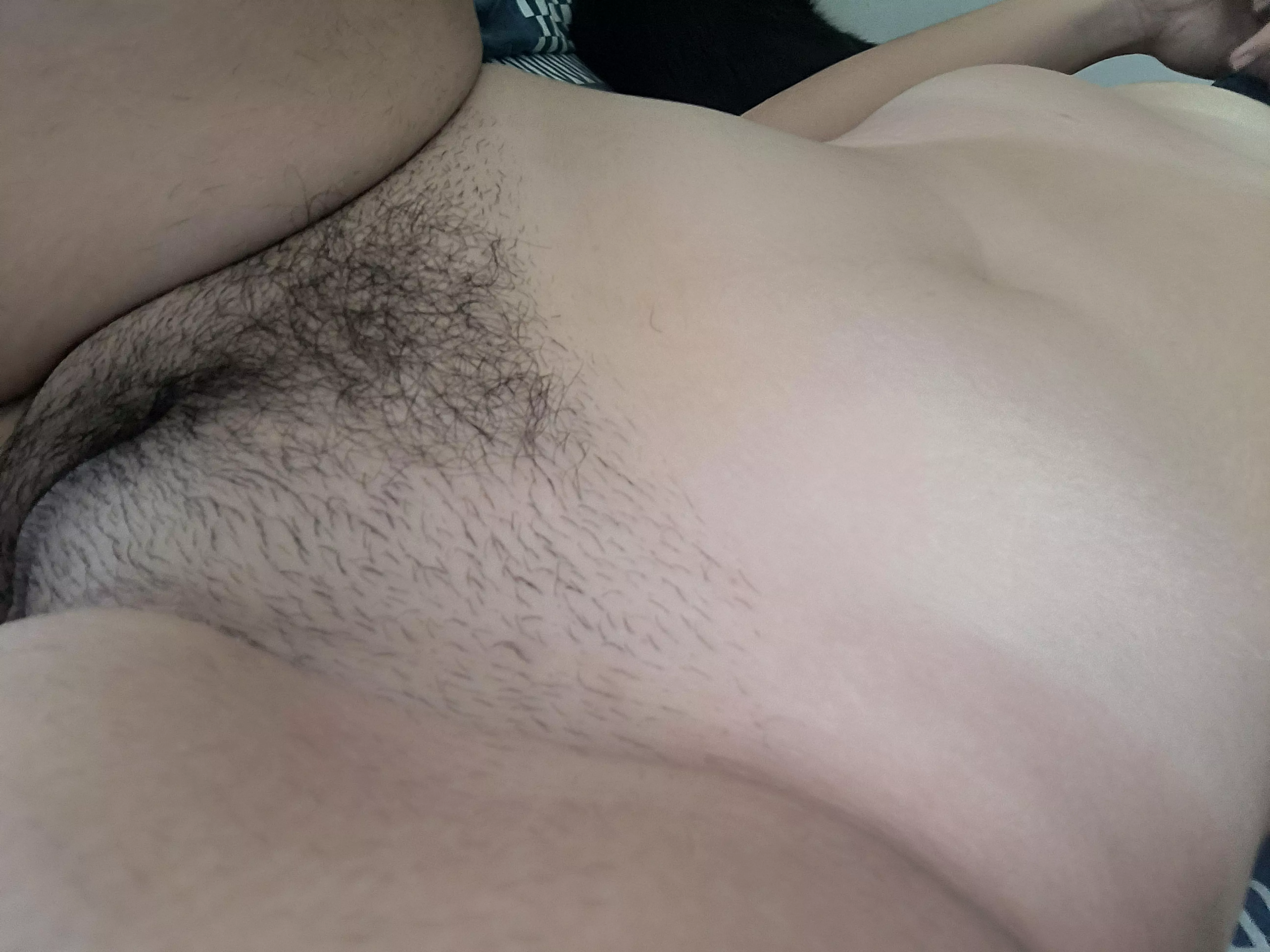 I want to let it grow even more! So you can rest your head in my bush