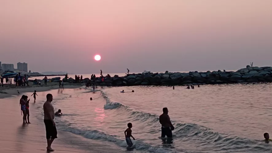 Is it true that life is tastier in the sea?