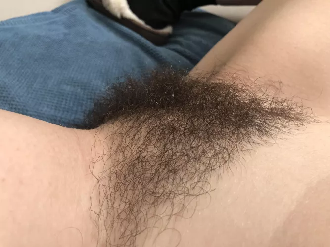 I've been told the bush feels good