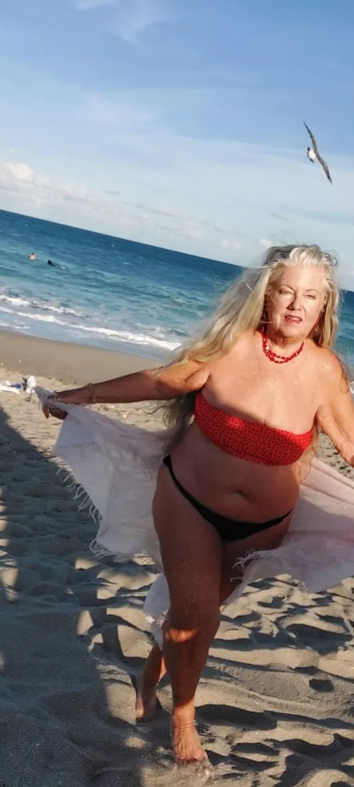 Just me and the seabirds 