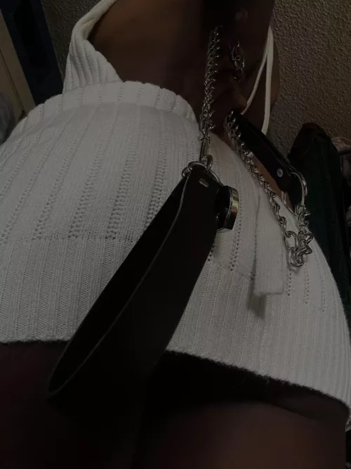 ready for your walk, mutt?