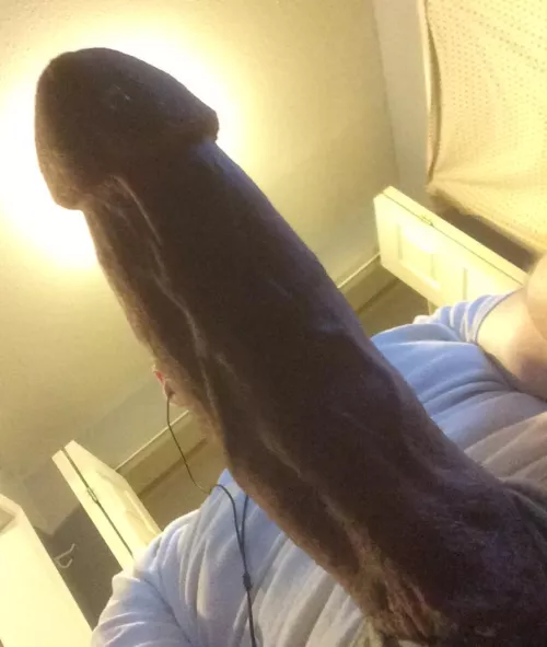 The eclipse glasses stay on😈