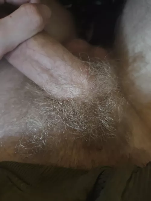 Wanna smell my pubes?